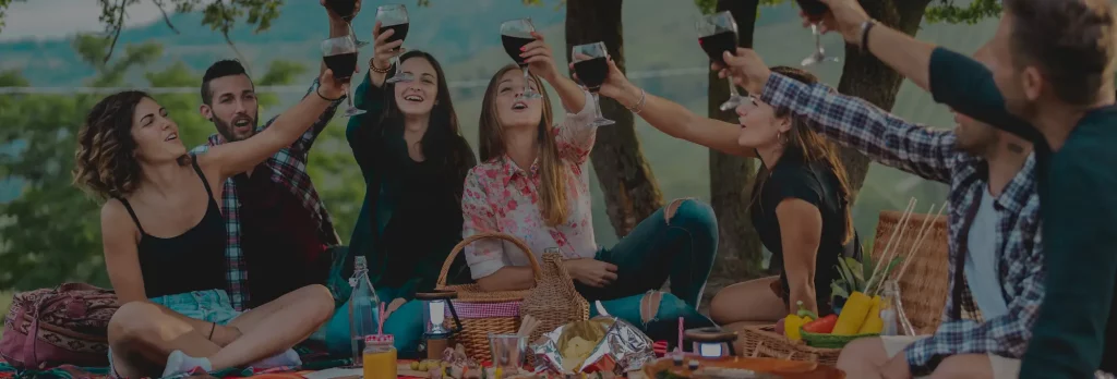group-of-happy-people-drinking-wine-on-a-picnic